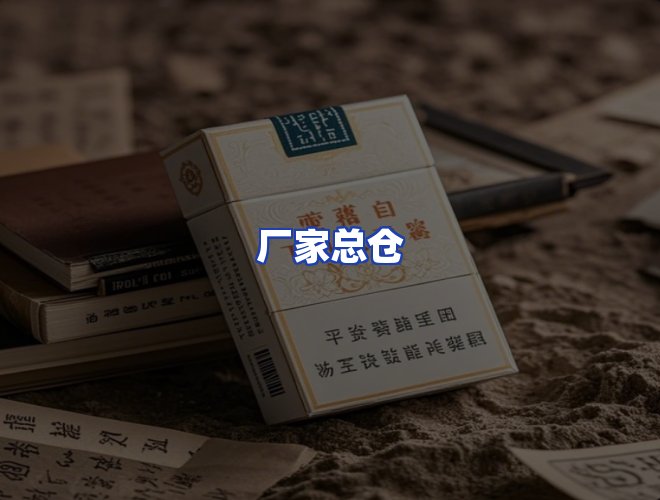 专业团队